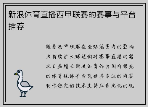 新浪体育直播西甲联赛的赛事与平台推荐